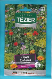 [TZ-5868322] Tézier  graine  Fleurs Oubliées GM 4*