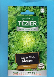 [3250011] Tézier  graine Chicorée frisée de Meaux 1*