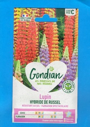 [5345733] Gondian graine Lupin de Russel 2.5g