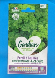 [3801233] Gondian graine Persil Calito Frisé Vert Foncé 5g